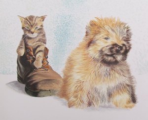 chien et chat, gouache 20 x 20